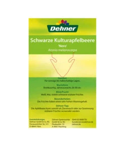 Apfelbeere, Aronia 'Nero' -Geschäft Für Pflanzensamenbedarf 00000000 Aronia melanocarpa Nero 2016 2