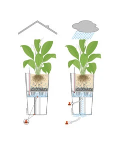 LECHUZA® CLASSICO LS, All-in-One-Set -Geschäft Für Pflanzensamenbedarf 001 InOutdoorLechuza 2