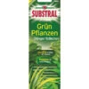 Substral® Grünpflanzen Dünger-Stäbchen, 30 Stk. -Geschäft Für Pflanzensamenbedarf 1517978 WE FS 001 SubstralDuengestaebchenGruenpflanzen30Stueck