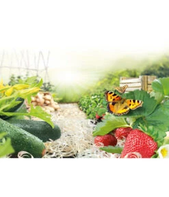 Ziegler Pro Natur® Erdbeer- & Gemüsewolle, 48 X 850 Gramm -Geschäft Für Pflanzensamenbedarf 1614080 WE MO 001 ErdbeerundGemueseholzwolle850g