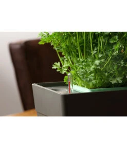 GREENBAR® Kräuterkasten, Ca. B48/H15,5/T16 Cm -Geschäft Für Pflanzensamenbedarf 20150713 350 greenbar fuellanzeiger studio herzig