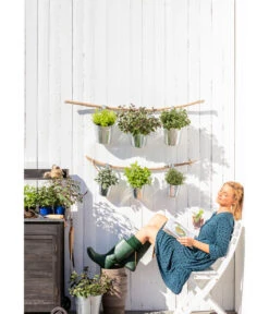 Dehner Gourmet Garten Zitronenmelisse -Geschäft Für Pflanzensamenbedarf 20181011 PR MO 003 Kraeuter 01