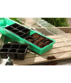 Dehner Zimmergewächshaus Frans, 54 X 15 X 12 Cm -Geschäft Für Pflanzensamenbedarf 207456 BildM 001 RombergZimmergewaechshausFransFensterbGewH54X15x12