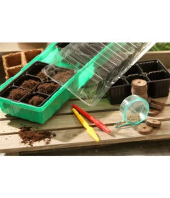 Dehner Zimmergewächshaus Frans, 54 X 15 X 12 Cm -Geschäft Für Pflanzensamenbedarf 207456 BildM 002 RombergZimmergewaechshausFransFensterbGewH54X15x12