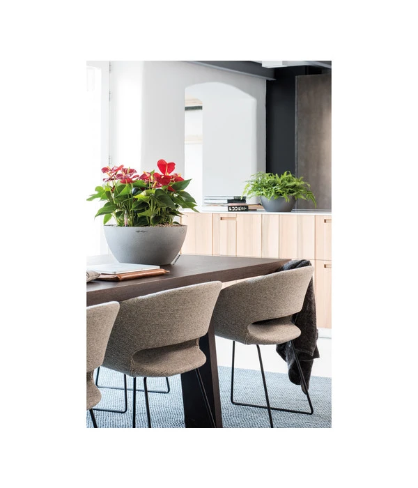 LECHUZA® Kunststoff-Schale Cubeto Stone, Rund 8 LECHUZA® Kunststoff-Schale Cubeto Stone, Rund – Bild 6