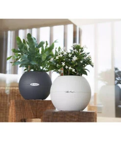 LECHUZA® PURO Color, All-in-One-Set, Rund, Ca. Ø20 Cm -Geschäft Für Pflanzensamenbedarf 2418598 WE MO 003 LechuzaPuroColor20schiefergrau