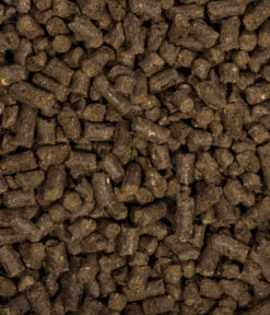 COMPO BIO Universal Langzeit-Dünger Mit Schafwolle, 2 Kg 7 COMPO BIO Universal Langzeit-Dünger Mit Schafwolle, 2 Kg -Geschäft Für Pflanzensamenbedarf 2528917 WE DE 002 COMPOBIOUniversalLangzeitDungermitSchafwolle