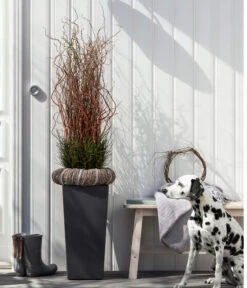 Dehner Kunststoff-Topf Elise, Konisch, Glänzend, Inkl. Bewässerungssystem 16 Dehner Kunststoff-Topf Elise, Konisch, Glänzend, Inkl. Bewässerungssystem -Geschäft Für Pflanzensamenbedarf 2539518 WE MO 003 KunststofftopfEliseAnthrazit