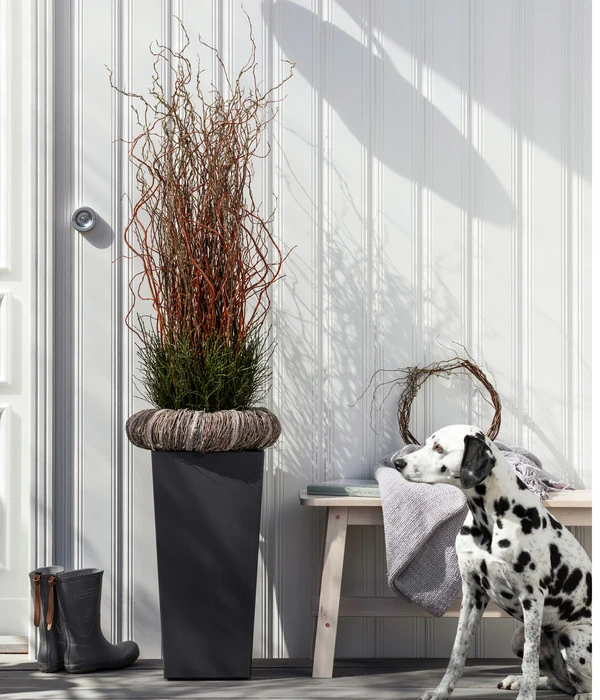 Dehner Kunststoff-Topf Elise, Konisch, Glänzend, Inkl. Bewässerungssystem 8 Dehner Kunststoff-Topf Elise, Konisch, Glänzend, Inkl. Bewässerungssystem – Bild 6