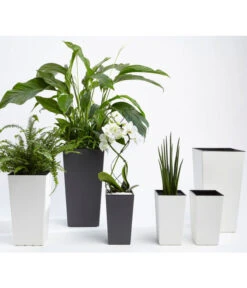 Dehner Kunststoff-Topf Elise, Konisch, Glänzend, Inkl. Bewässerungssystem 15 Dehner Kunststoff-Topf Elise, Konisch, Glänzend, Inkl. Bewässerungssystem -Geschäft Für Pflanzensamenbedarf 2540136 MA FS 007 DehnerKunststofftopfElisemitSelbstbewaesserungsSystemca47x25x25cmanthrazit