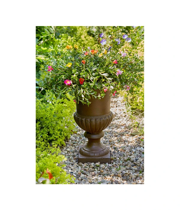 Esschert Design Französische Pflanzvase Aus Gusseisen, Dunkelbraun 4 Esschert Design Französische Pflanzvase Aus Gusseisen, Dunkelbraun – Bild 2