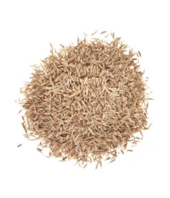 Wolf-Garten Wolf Saatgut Strapazier-Rasen 5 Wolf-Garten Wolf Saatgut Strapazier-Rasen -Geschäft Für Pflanzensamenbedarf 2682250 BildD 001 WolfRasenSaatgutStrapazierrasenLorettaStrapRasenLoretta25Qm