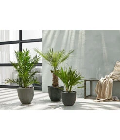 Artstone Kunststoff-Topf Bola -Geschäft Für Pflanzensamenbedarf 3158847 3158870 3158888 WE MO 003 PolystoneTopfinRiffeloptikrundsand