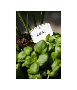 Elho Pflanz-Stift, 5 Stück -Geschäft Für Pflanzensamenbedarf 3266806 MO FS 001 PflanzstiftMweissElhoEtikett