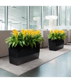 LECHUZA® CARARO, All-in-One-Set, 43 X 30 X 75 Cm -Geschäft Für Pflanzensamenbedarf 3409273 BildM 001 CararoSchwarzLechuza