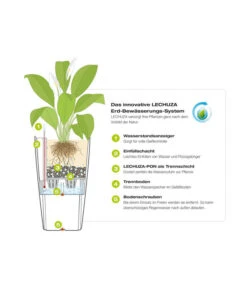 LECHUZA® Kunststoff-Topf Cubico Cottage -Geschäft Für Pflanzensamenbedarf 3528429 WE DE 001 LechuzaCubicoCottageBlumenkuebelmitBewaesserungssystem