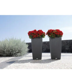 LECHUZA® Kunststoff-Topf Cubico Cottage -Geschäft Für Pflanzensamenbedarf 3528429 WE MO 002 LechuzaCubicoCottageBlumenkuebeleckigBlumentopfBlumenvasegrauschwarz