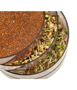 Dehner Sprossenhaus, 4 Schalen -Geschäft Für Pflanzensamenbedarf 3677101 WE MO 002 DehnerSprossenhausKeimsprossen