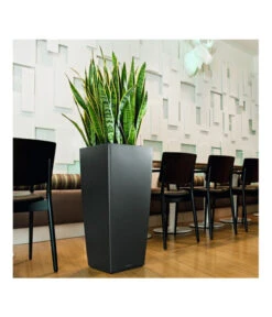 LECHUZA® CUBICO Premium, All-in-One-Set -Geschäft Für Pflanzensamenbedarf 3679636 BildM 001 LechuzaCubicoCubicoPrem22KplAnthr