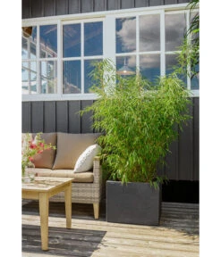 Dehner Kunststoff-Blumenkübel Palermo, Anthrazit -Geschäft Für Pflanzensamenbedarf 3728110 3728151 3940756 WE MO 009 KunststoffBlumenkuebelKubusanthrazitBlumentopf