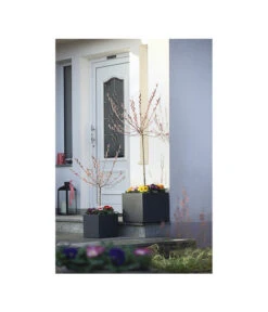 Dehner Kunststoff-Blumenkübel Palermo, Anthrazit -Geschäft Für Pflanzensamenbedarf 3728110 WE MO 001 KunststoffTopfKubusAnthrazitBlumenkuebelBlumentopfKubus