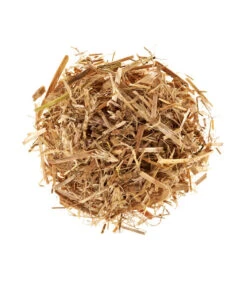 Geschäft Für Pflanzensamenbedarf -Geschäft Für Pflanzensamenbedarf 3940285 BildD 001 PilzmaennchenBioHomePilzzuchtsetAusternpilzPilzbrutAusternpilzSet