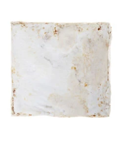 Pilzmännchen Bio Pilzzuchtset Austernpilz -Geschäft Für Pflanzensamenbedarf 3940285 BildD 002 PilzmaennchenBioHomePilzzuchtsetAusternpilzPilzbrutAusternpilzSet