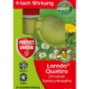 PROTECT GARDEN Loredo® Quattro Universal-Rasenunkrautfrei -Geschäft Für Pflanzensamenbedarf 3952173 WE FS 001 ProtectGardenLoredoQuattroUniversalRasenunkrautfrei100ml