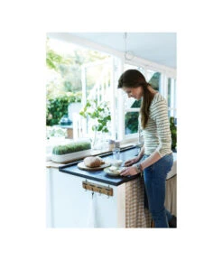 Elho Anzuchthaube L 7 Elho Anzuchthaube L -Geschäft Für Pflanzensamenbedarf 4026704 WE MO 001 AnzuchthausLTransparentElho