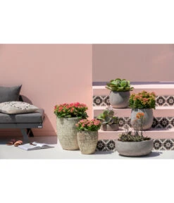 Dehner Leichtbeton-Topf Balloon Stone, Grau -Geschäft Für Pflanzensamenbedarf 4058046 4058087 4057972 WE MO 005 DehnerLeichtbetonTopfBalloon 1