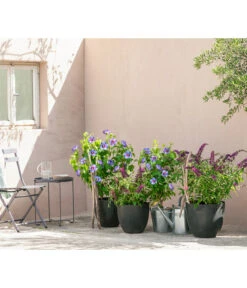 Artstone Kunststoff-Topf Bola -Geschäft Für Pflanzensamenbedarf 4086088 4086096 4086104 4086112 WE MO 006 KunststoffTopfBolarundschwarz