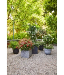 Artstone Kunststoff-Topf Bola -Geschäft Für Pflanzensamenbedarf 4086096 4086088 4086104 4086112 WE MO 002 KunststoffTopfBolaschwarz