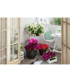 Artstone Kunststoff-Topf Bola -Geschäft Für Pflanzensamenbedarf 4086096 4086088 4086104 4086112 WE MO 005 ArtstoneKunststoffTopfBolaschwarz