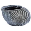 Roto Kunststoff-Pflanztopf Muschel, Grau, Ca. B40/H25,5/T30 Cm -Geschäft Für Pflanzensamenbedarf 4145843 WE FS 001 RotoTopfMuschel