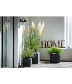 Dehner Kunststoff-Blumenkübel Palermo, Anthrazit -Geschäft Für Pflanzensamenbedarf 4292165 WE MO 001 FerrumMetallBuchstabenSetHOMEcaB30H35T14cm