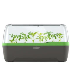 Romberg BoQube Gewächshaus -Geschäft Für Pflanzensamenbedarf 4299970 WE FS 005 RombergGewaechshausZimmergewaechshausAnzucht