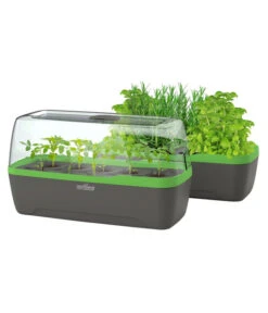 Romberg BoQube Gewächshaus -Geschäft Für Pflanzensamenbedarf 4299970 WE FS 006 BoQubeGewaechshausZimmergewaechshaus