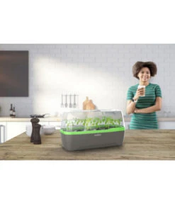 Romberg BoQube Gewächshaus -Geschäft Für Pflanzensamenbedarf 4299970 WE MO 001 RombergGewaechshausZimmergewaechshausAnzucht