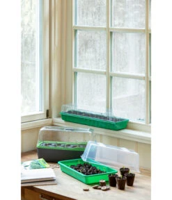 Romberg BoQube Gewächshaus -Geschäft Für Pflanzensamenbedarf 4299970 WE MO 004 BoQubeZimmergewaechshaus 1