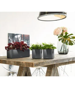 LECHUZA® CUBE Glossy, All-in-One Set -Geschäft Für Pflanzensamenbedarf 4310470 PR MO 002 4310512CubeGlossyAnthrazit