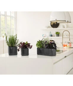 LECHUZA® CUBE Glossy, All-in-One Set -Geschäft Für Pflanzensamenbedarf 4310470 PR MO 003 4310512CubeGlossyAnthrazit