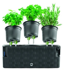 Dehner Kunststoff-Kasten Mona, Trio, Ca. B40/H14/T14 Cm -Geschäft Für Pflanzensamenbedarf 4320768 PR FS 003 TopfMonaTrioAnthrazitDehnerExpressHerzig