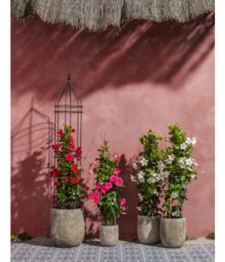 Dehner Keramik-Topf Bungxe, Meliert -Geschäft Für Pflanzensamenbedarf 4435640 4435665 4435673 WE MO 004 DehnerKeramikTopfBungxe