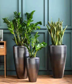 Dehner Keramik-Vase Lissabon Mit LECHUZA® Bewässerungssystem, Konisch 9 Dehner Keramik-Vase Lissabon Mit LECHUZA® Bewässerungssystem, Konisch -Geschäft Für Pflanzensamenbedarf 4448833 4448858 4448841 WE MO 002 PflanzvaseLissabonAnthrazit