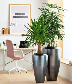 Dehner Keramik-Vase Lissabon Mit LECHUZA® Bewässerungssystem, Konisch 11 Dehner Keramik-Vase Lissabon Mit LECHUZA® Bewässerungssystem, Konisch -Geschäft Für Pflanzensamenbedarf 4448833 WE MO 001 KeramikVaseLissabon