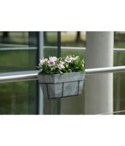 Artstone Kunststoff Blumenkasten Ella -Geschäft Für Pflanzensamenbedarf 5160486 WE MO 001 KunststoffKastenEllagrau