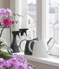 Sprüher, 0,5 L 9 Sprüher, 0,5 L -Geschäft Für Pflanzensamenbedarf 5357959 WE MO 001 GiesserAnthrazit