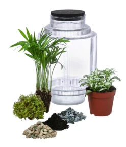 Geschäft Für Pflanzensamenbedarf -Geschäft Für Pflanzensamenbedarf 6188460 WE FS 001 FlaschengartenMittel