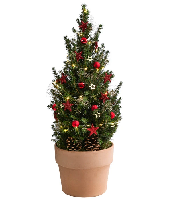 Geschmückter Weihnachtsbaum Terra, Mit Lichterkette, Ca. H70 Cm 3 Geschmückter Weihnachtsbaum Terra, Mit Lichterkette, Ca. H70 Cm