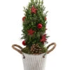 Geschmückter Weihnachtsbaum Linus 2 Geschmückter Weihnachtsbaum Linus -Geschäft Für Pflanzensamenbedarf 6266043 WE FS 001 WeihnachtsbaumLinus13cm